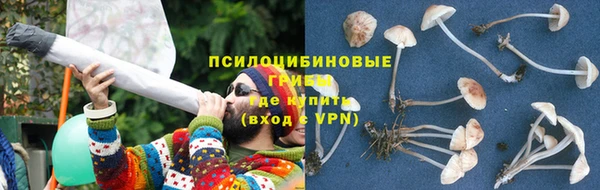 jwh Алзамай