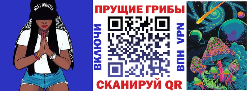 маркетплейс клад  МЕГА как зайти  Любим  Псилоцибиновые грибы GOLDEN TEACHER 